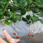 ヒメ日記 2026/02/23 15:01 投稿 ももあ 木更津人妻花壇