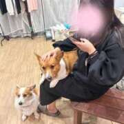 ヒメ日記 2026/10/03 10:14 投稿 カナウ ドMな奥さん 十三店