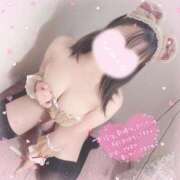 ワラビ スタートご予約ありがと♡ きらめけ！にゃんにゃん学園in大宮