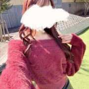 ヒメ日記 2025/12/15 08:01 投稿 心杏【ココア】 club MARIA(大阪)