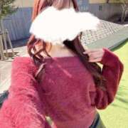 ヒメ日記 2025/12/15 16:00 投稿 心杏【ココア】 club MARIA(大阪)