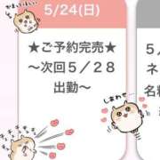 ヒメ日記 2026/05/25 04:30 投稿 りな E+アイドルスクール　大阪・日本橋店