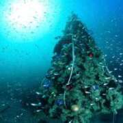 ヒメ日記 2025/12/19 10:21 投稿 るみら NEW GENERATION