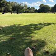 澄(すみ) よいお天気ですね☀️ 人妻出逢い会 百合の園 山の手本店