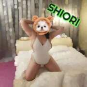 ヒメ日記 2025/11/08 11:19 投稿 SHIORI TALL