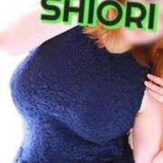 ヒメ日記 2025/11/20 15:09 投稿 SHIORI TALL