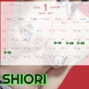ヒメ日記 2026/01/13 07:29 投稿 SHIORI TALL