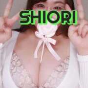 ヒメ日記 2026/07/19 00:21 投稿 SHIORI TALL
