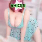 ヒメ日記 2026/08/12 08:59 投稿 SHIORI TALL