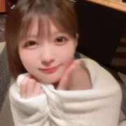 みかん 早い者勝ち⁉️ BLUE BIRD (ブルーバード) 上越