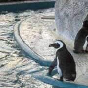 ヒメ日記 2026/01/15 22:15 投稿 ゆき カワサキEROTIC（ソープランド）