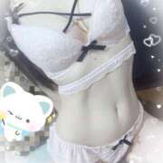 ヒメ日記 2025/11/03 12:25 投稿 まみ アリスカフェ