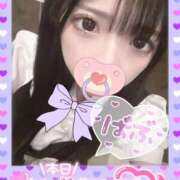 ヒメ日記 2025/12/14 09:45 投稿 まみ アリスカフェ