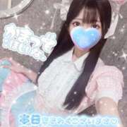 ヒメ日記 2025/12/21 09:30 投稿 まみ アリスカフェ