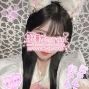 ヒメ日記 2026/01/27 11:48 投稿 まみ アリスカフェ