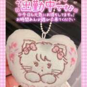 ヒメ日記 2026/03/19 17:07 投稿 まみ アリスカフェ