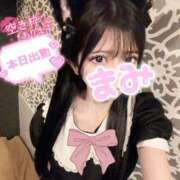 ヒメ日記 2026/05/17 12:49 投稿 まみ アリスカフェ