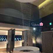 ヒメ日記 2025/12/29 00:30 投稿 サクラ Aroma De Pari（アロマ・デ・パリ）