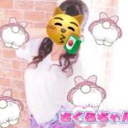 ヒメ日記 2026/03/29 23:01 投稿 サクラ Aroma De Pari（アロマ・デ・パリ）