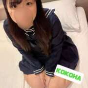 ヒメ日記 2025/10/05 07:01 投稿 ここは ホワイトハウス