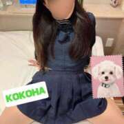 ヒメ日記 2025/10/07 18:00 投稿 ここは ホワイトハウス