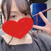 ヒメ日記 2025/10/09 14:02 投稿 ここは ホワイトハウス