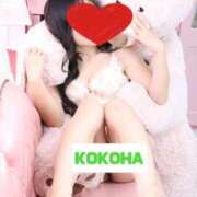 ヒメ日記 2025/10/10 00:52 投稿 ここは ホワイトハウス