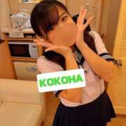 ヒメ日記 2025/10/10 08:09 投稿 ここは ホワイトハウス