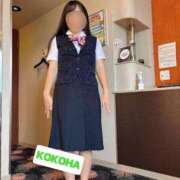 ヒメ日記 2025/10/11 01:12 投稿 ここは ホワイトハウス