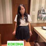 ヒメ日記 2025/10/12 01:23 投稿 ここは ホワイトハウス