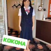 ヒメ日記 2025/10/12 05:55 投稿 ここは ホワイトハウス