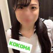 ヒメ日記 2025/10/12 17:25 投稿 ここは ホワイトハウス