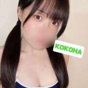 ヒメ日記 2025/11/03 18:00 投稿 ここは ホワイトハウス