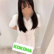 ヒメ日記 2025/11/04 12:30 投稿 ここは ホワイトハウス