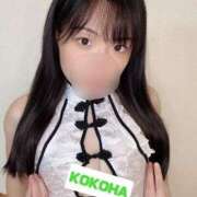 ヒメ日記 2025/11/05 18:00 投稿 ここは ホワイトハウス