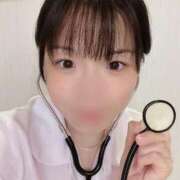 ヒメ日記 2025/11/08 18:33 投稿 ここは ホワイトハウス