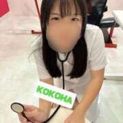 ヒメ日記 2025/11/08 20:09 投稿 ここは ホワイトハウス