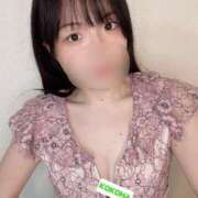 ヒメ日記 2025/11/09 00:16 投稿 ここは ホワイトハウス