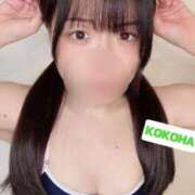 ヒメ日記 2025/11/10 06:10 投稿 ここは ホワイトハウス