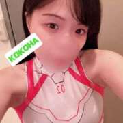 ヒメ日記 2025/11/10 06:15 投稿 ここは ホワイトハウス