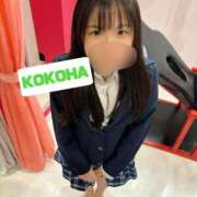 ヒメ日記 2025/11/10 06:21 投稿 ここは ホワイトハウス