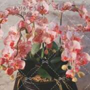 ヒメ日記 2025/11/10 15:48 投稿 伊藤(いとう) 八王子人妻城