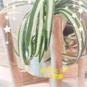 ヒメ日記 2025/11/11 00:18 投稿 伊藤(いとう) 八王子人妻城