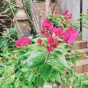 ヒメ日記 2025/11/24 22:09 投稿 伊藤(いとう) 八王子人妻城