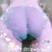 ヒメ日記 2025/11/25 12:57 投稿 伊藤(いとう) 八王子人妻城