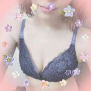 ヒメ日記 2025/11/25 13:57 投稿 伊藤(いとう) 八王子人妻城