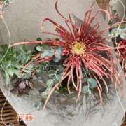 ヒメ日記 2025/11/26 22:33 投稿 伊藤(いとう) 八王子人妻城