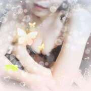 ヒメ日記 2025/11/29 20:48 投稿 伊藤(いとう) 八王子人妻城