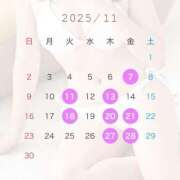 ヒメ日記 2025/10/31 12:15 投稿 Satsuki THE PREMIUM （プレミアム）