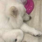 ヒメ日記 2025/11/10 20:25 投稿 Satsuki THE PREMIUM （プレミアム）